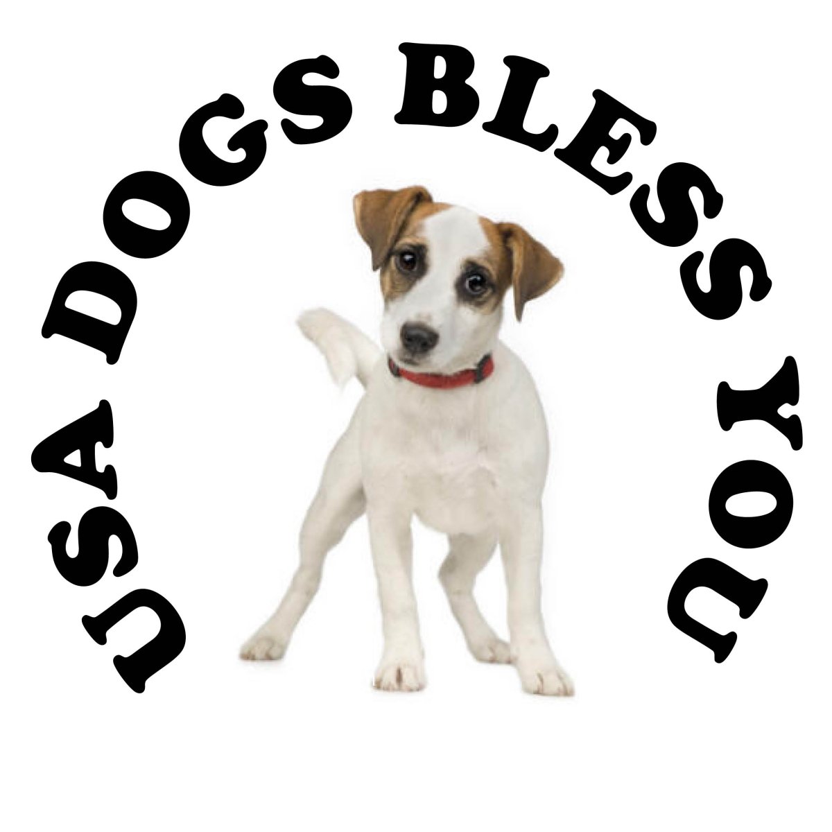 USA DOGS BLESS YOU